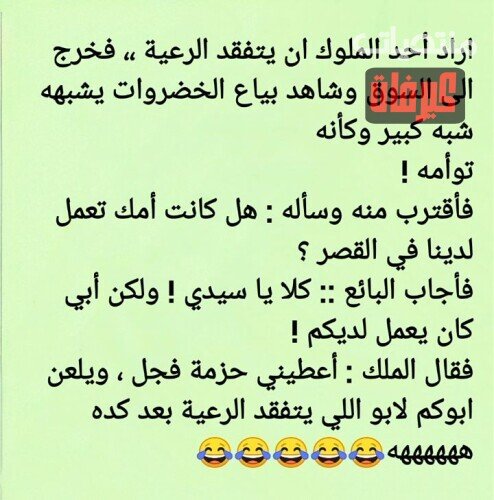 ٦