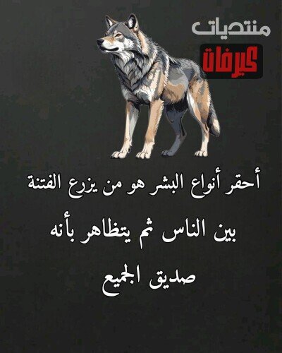 9 ٢٠٢٦ ٠٩ ٢٦ ٢٣ ٤٦ ١١