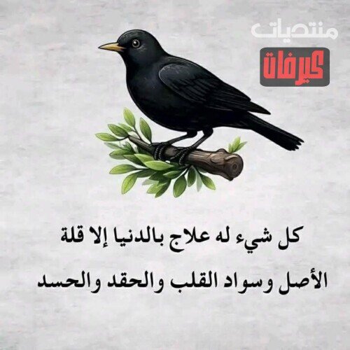 9 ٢٠٢٦ ٠٩ ٠٣ ١٦ ٢٢ ٥٥