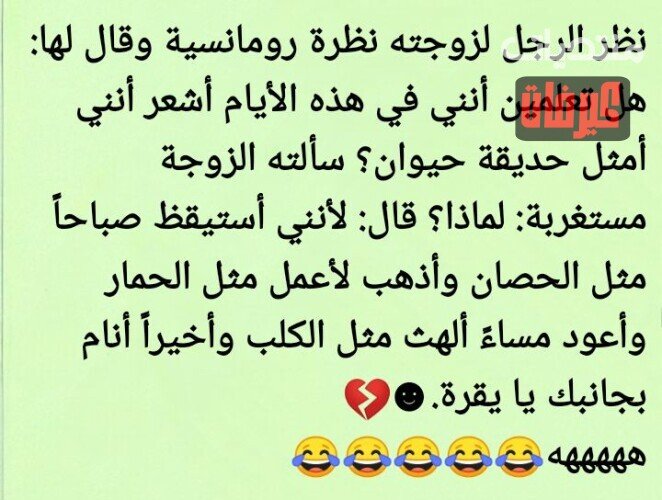 ٧